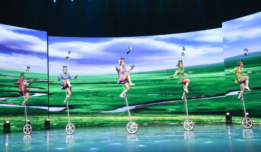 Beijing Night Tour with Acrobatics Show & PekingDuck Dinner - Practical details that can affect your evening
