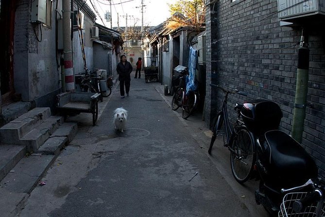 Beijing Old Hutongs Tour by Rickshaw - The local home visit: useful, but not always intimate
