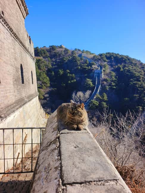 Beijing: Private Tour to Mutianyu Great Wall&Forbidden City - Booking and preparation tips
