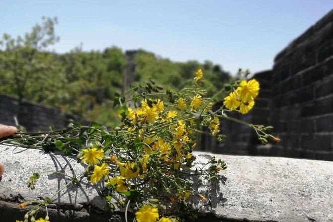 Beijing Private Transfer: Badaling Great Wall with VIP Past Pass - Badaling entry, cable cars, and the VIP channel