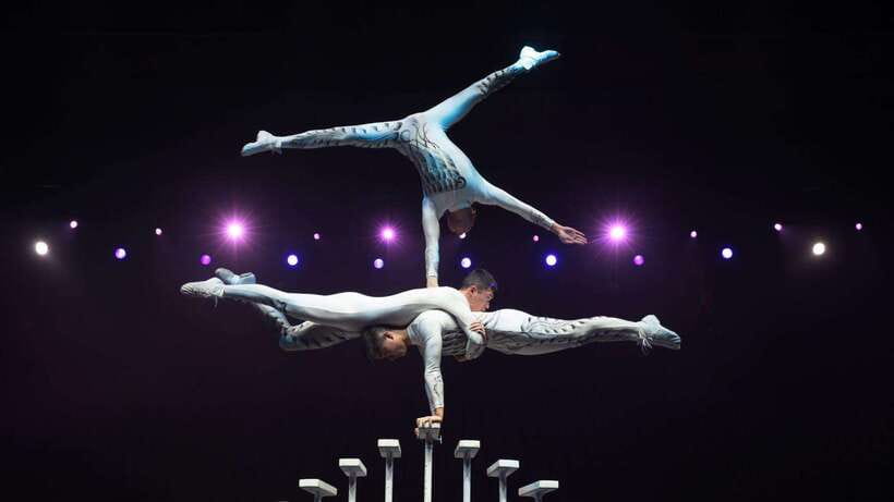 Beijing: Red Theatre Acrobatics Show Ticket-Local Must-See - What happens inside the one-hour performance