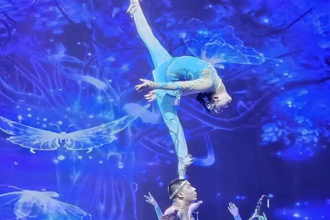 Beijing Red theatre Acrobatics Show Ticket - Inside the Red Theatre performance