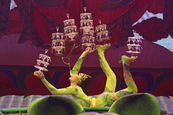 Beijing Roast Duck Banquet and Acrobatics Show with VIP Seats Evening Tour - Why the acrobatics show deserves your evening