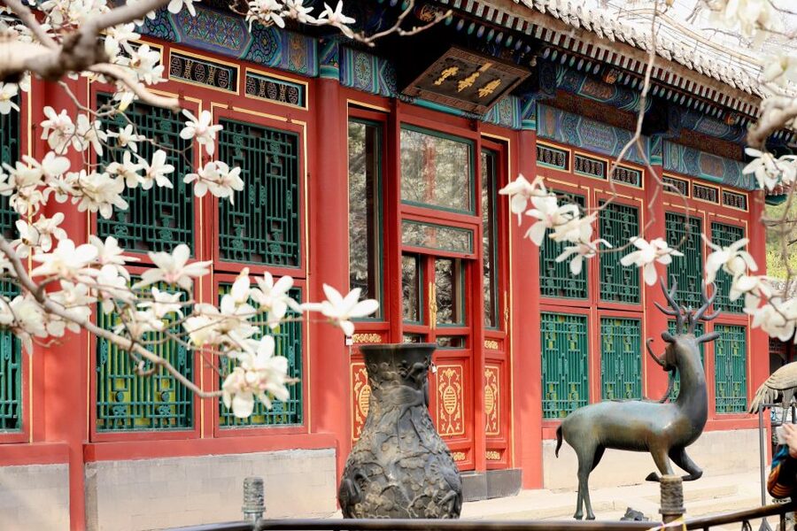 Beijing: Summer Palace, Sacred Road&Ming Tombs Private Tour - The long ride to the Ming Tombs