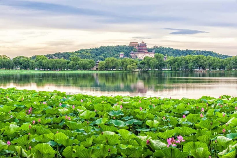 Beijing：Summer Palace & Tea or Calligraphy Experience Tour - Who will get the most from this tour