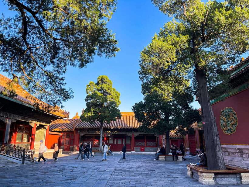 Beijing:Temple of Heaven+Forbidden City Private City Tour - Why this private Beijing day works