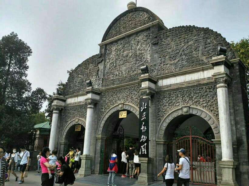 Beijing: The Beijing Zoo Entry Ticket with Pandas - Getting to the south gate by Line 4