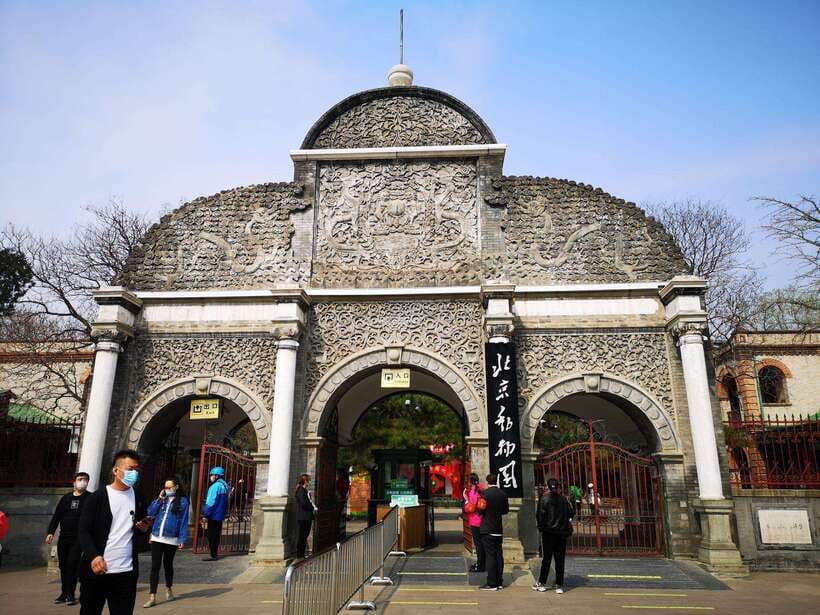 Beijing: The Beijing Zoo Entry Ticket with Pandas - The difficult question of animal enclosures