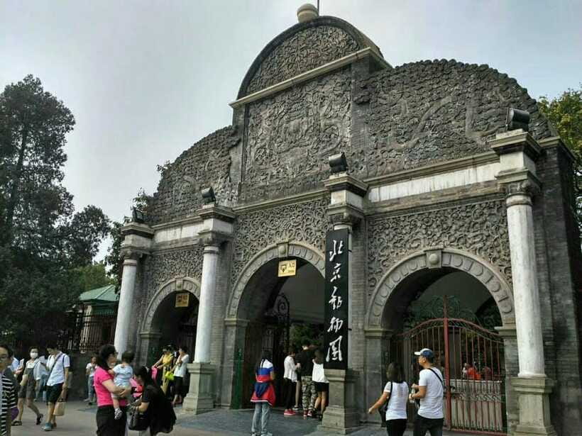 Beijing: The Beijing Zoo Entry Ticket with Pandas - How long you should plan to stay