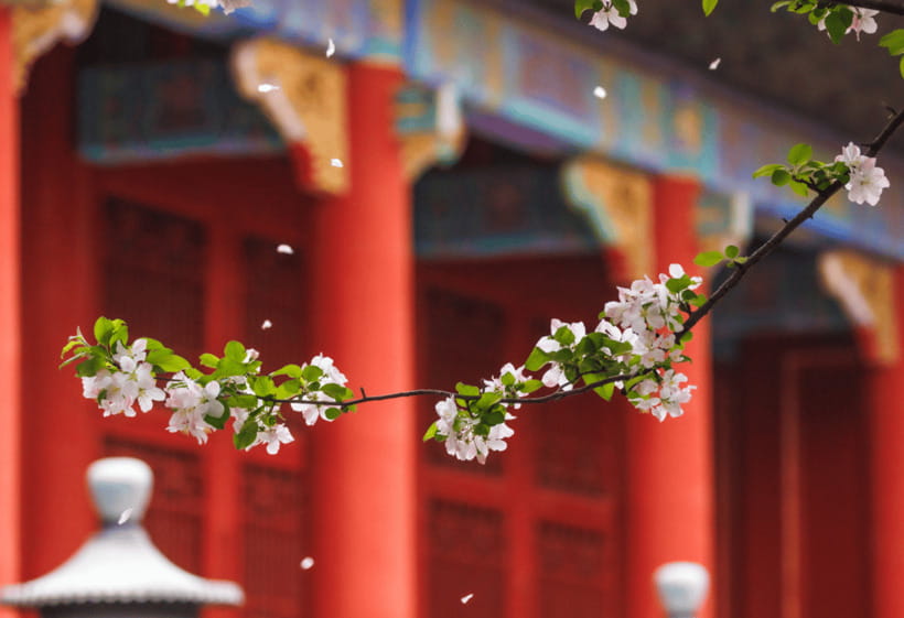 Beijing: Tiananmen Square and Forbidden City Entry Tickets - Mutianyu Great Wall with the Forbidden City