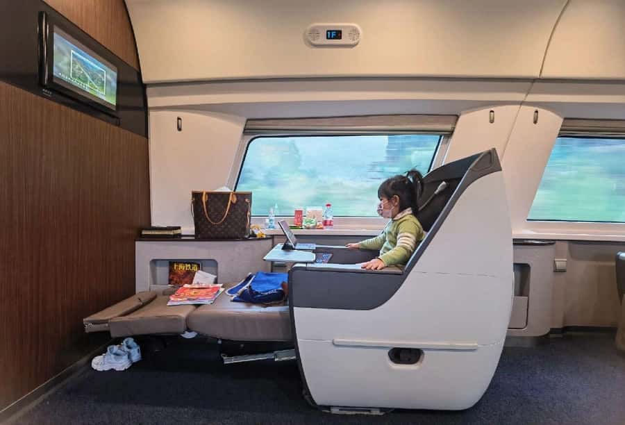 Beijing to Xi'an Terracotta Tour by Roundtrip Bullet Train - Key points to know before booking