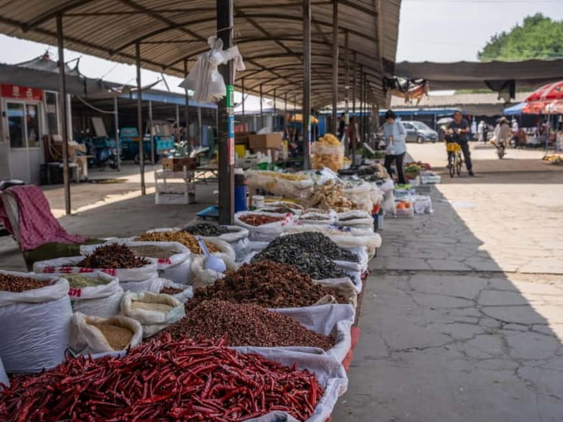 Beijing: Vegan Home Cooking & Local Market Tour with Sanxia - Choosing vegetables, tofu, and herbs at the local market