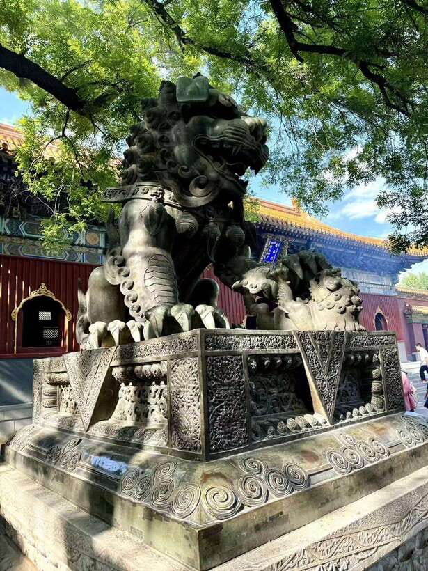 Beijing: Yonghe Lama Temple Entry Ticket - Access, flexibility, and useful booking terms