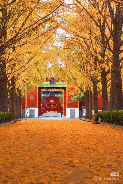 Beijing: Yonghe Lama Temple Tickets with guide (optional) - The Pavilion of Ten Thousand Blessings