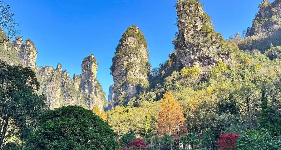 Best Mini Group to Zhangjiajie Forest Park & Avatar Mountain - Who should book this Zhangjiajie tour?