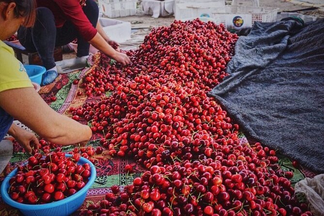 Changsha Walking Food Tour with Private Guide - Hunan cuisine without guessing your way through it