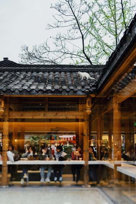 Chengdu: City Walking Tour with Food and Culture Stops - People’s Park and the social life of tea