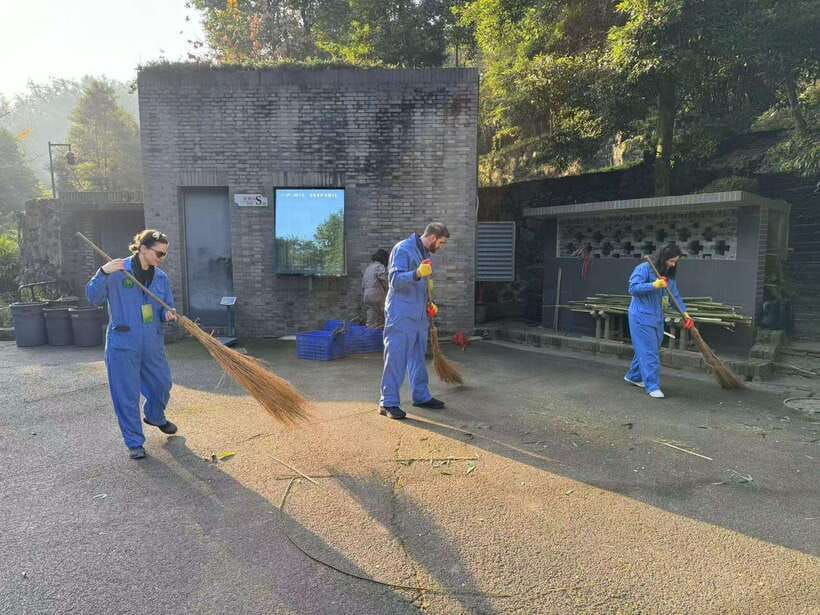 Chengdu: Dujiangyan Panda Base Volunteering Day Trip - Why this panda day feels different from a normal visit