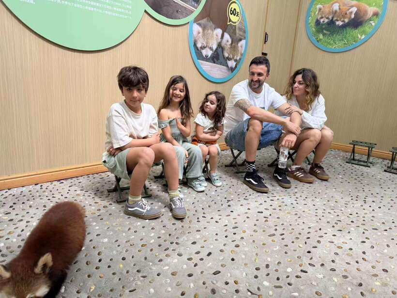 Chengdu: Dujiangyan Panda Base Volunteering Day Trip - Watching the close feeding