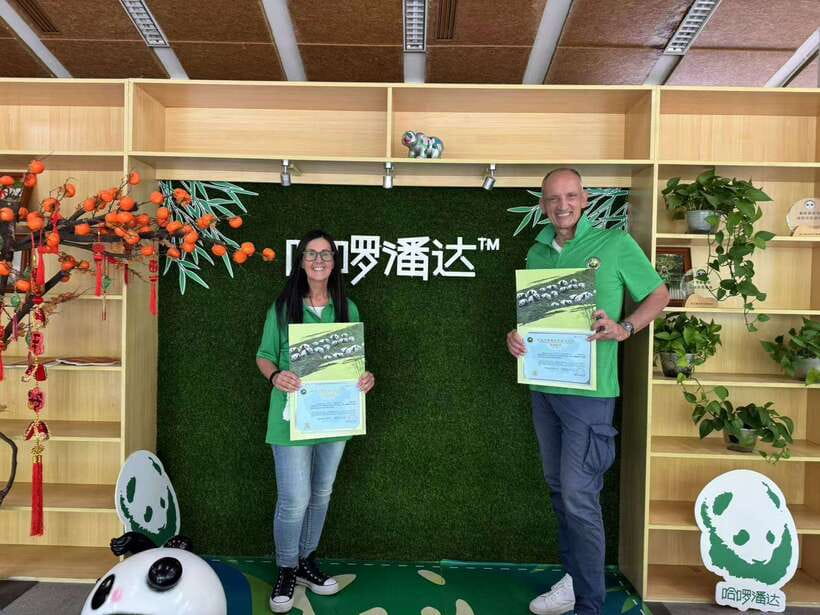 Chengdu: Dujiangyan Panda Base Volunteering Day Trip - Who will enjoy this most?