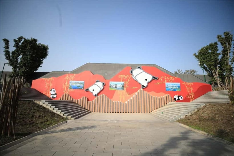 Chengdu: Half-Day Panda Base Tour with Guide Option - Walking, access, and what to bring