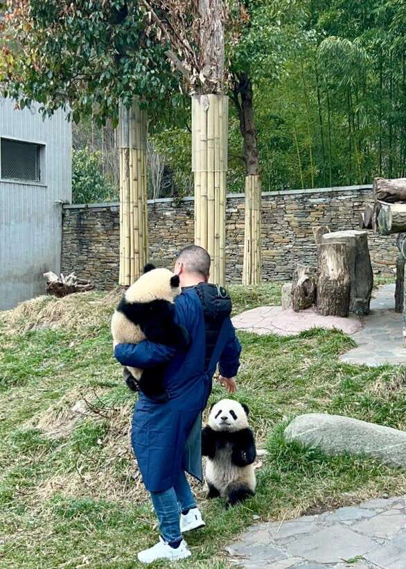 Chengdu: Hidden Wonders Day Tour with Wolong Panda Base - Zhongshu Bookstore’s bold interior