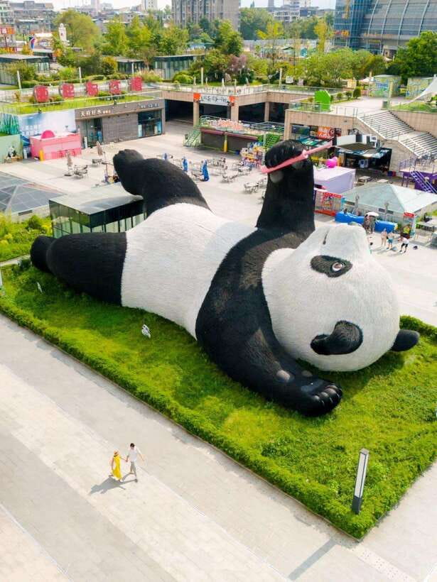 Chengdu: Hidden Wonders Day Tour with Wolong Panda Base - Starting at Wolong Panda Base
