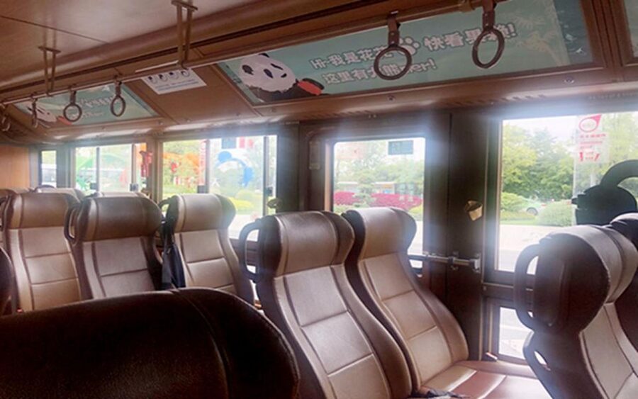 Chengdu panda base half day tour - Following the three-and-a-half-hour panda route