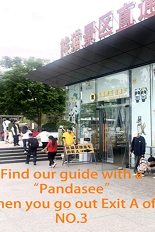 Chengdu panda base half day tour - Meeting at Panda Avenue Station