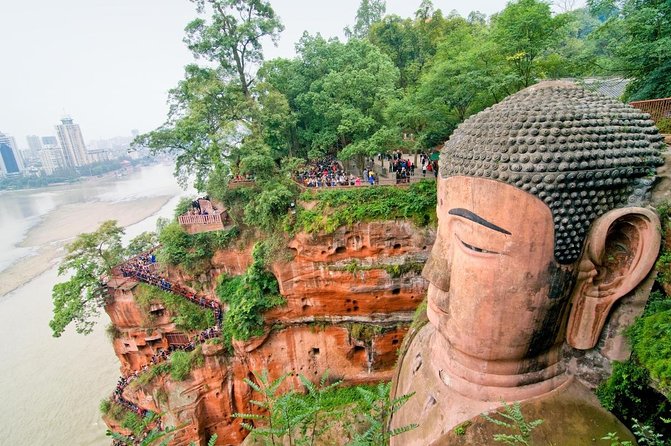 Chengdu: Panda Base Leshan Buddha Tour(or Half Day Panda Base ) - Key points at a glance