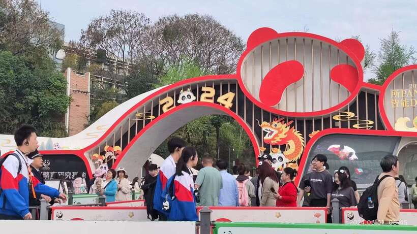 Chengdu: Panda Breeding Base Tickets Booking - Key points to know before you go