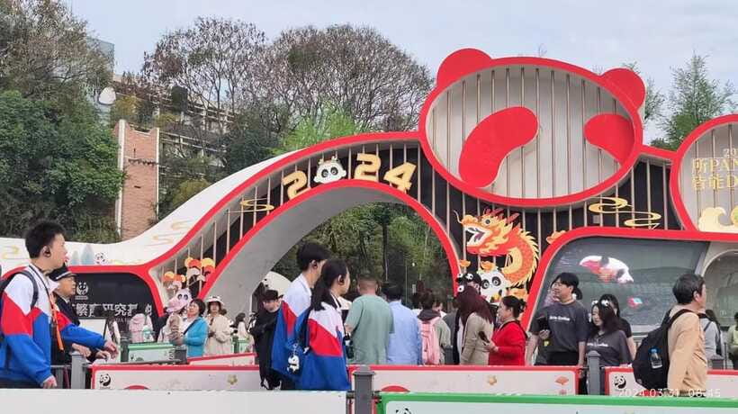 Chengdu: Panda Breeding Base Tickets Booking - How this visit compares with a general Chengdu morning