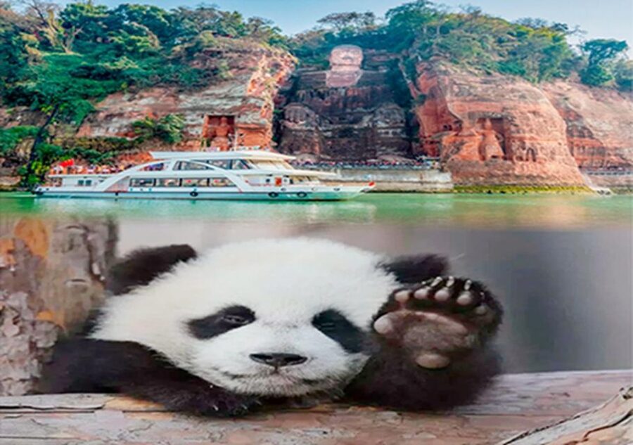 Chengdu panda & Leshan Buddha One Day Private Tour - Booking details worth knowing