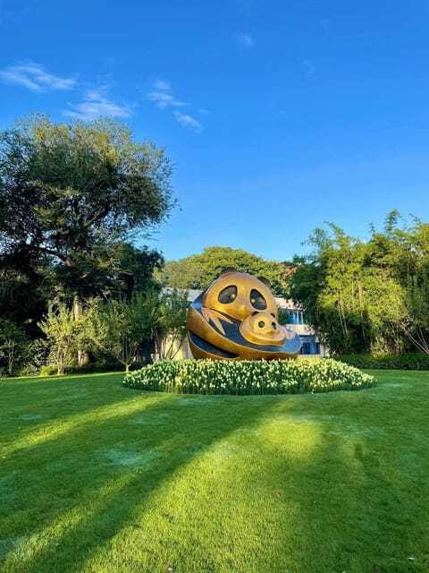 Chengdu: Panda Research Base Ticket or Private Transfer Tour - When to visit and how to plan your time