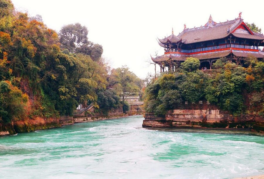 Chengdu: Panda Research Base Ticket or Volunteer Day Trip - How much value do you get for $9?