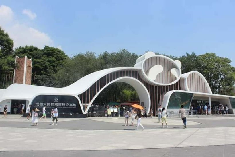 Chengdu: Panda Research Base Ticket or Volunteer Day Trip - Pick the right ticket option