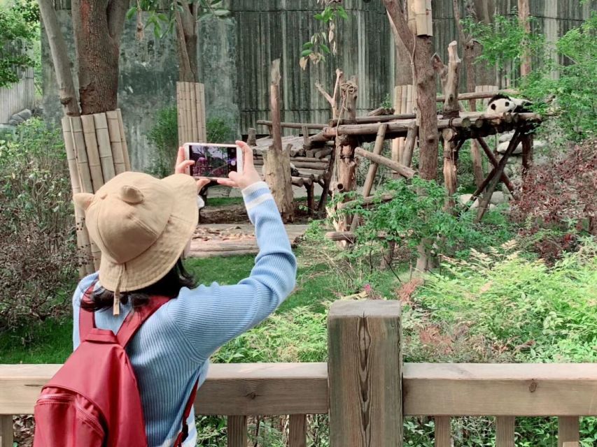 Chengdu: Private Panda Base Tour with 80 Pandas - Which departure and option should you choose?