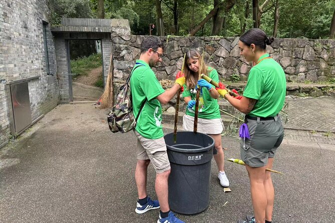 Chengdu: Volunteer Day Experience at Dujiangyan Panda base - Why Dujiangyan works well for a panda day