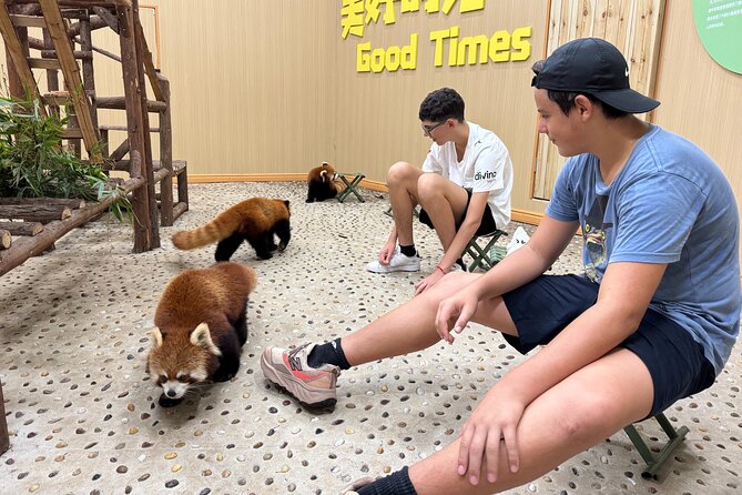 Chengdu: Volunteer Day Experience at Dujiangyan Panda base - Lunch, the conservation film, and the certificate