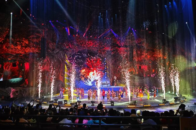 Chimelong International Circus Ticket with Transfer - Who Will Enjoy This Most?