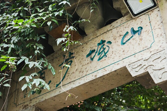 Chongqing 10 Hour Private Customized City Tour - The Yangtze River Cableway Offers the Big View