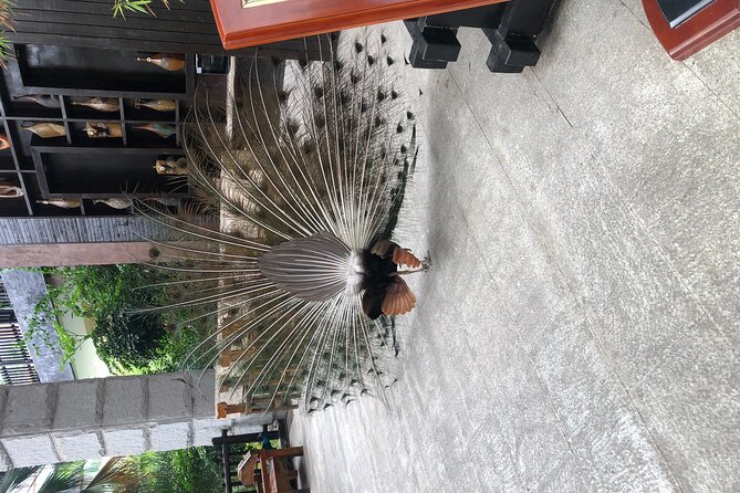 Chongqing Luxury Hot Spring and Massage Luxury Meal Private Tour - Massage in a private room in Shapingba