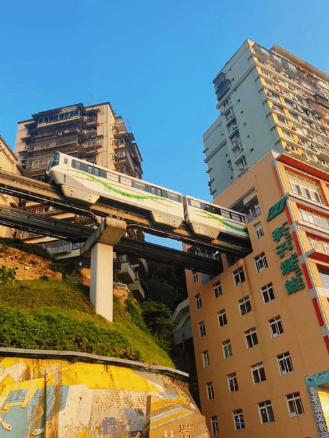 Chongqing Private City Tour: Must-Sees All-in-One - Who Will Get the Most from This Chongqing Tour