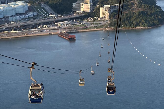 Coach Day Tour - Lantau Island Visiting and Giant Buddha Cable Car Tour Plus Tai O Boat Ride - Who should choose this Lantau Island day tour