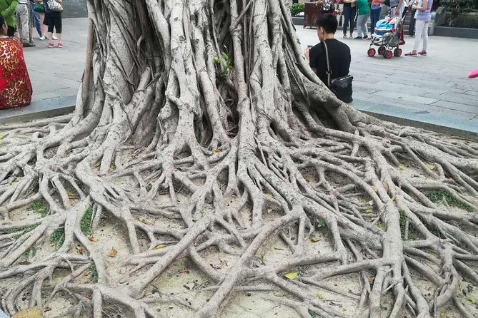 Customised Private Guangzhou City Tour with Flexible Itinerary - What the private car and guide change