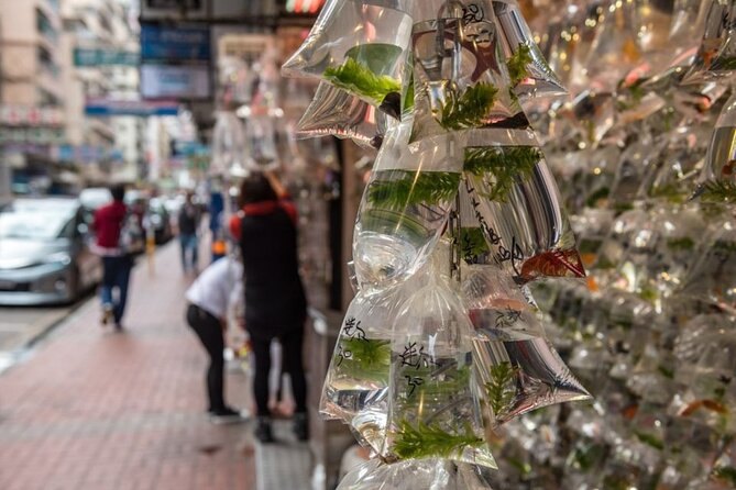Dark Side of Hong Kong - Kowloon Caged Homes Walking Tour - Yee Kuk Street and Sham Shui Po’s backstreets