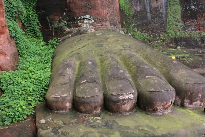 Day tour Chengdu Panda Base Leshan Giant Buddha with local Lunch - Morning at Chengdu Panda Base