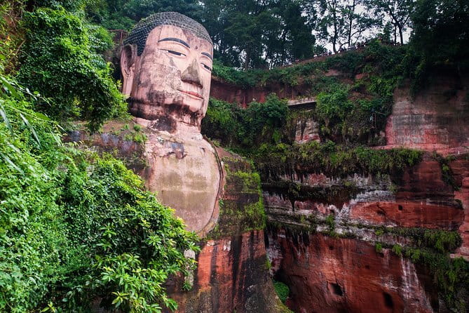 Day tour Chengdu Panda Base Leshan Giant Buddha with local Lunch - Tea terraces and a mountain view