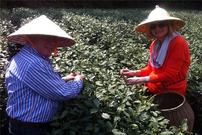 Day Tour to Discover the Secrets of Hangzhou's Tea Culture - Why Longjing tea is worth a half-day