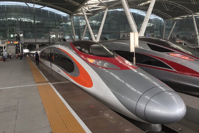 Day Tour to Shenzhen from Hong Kong by High Speed Bullet Train - Key points at a glance
